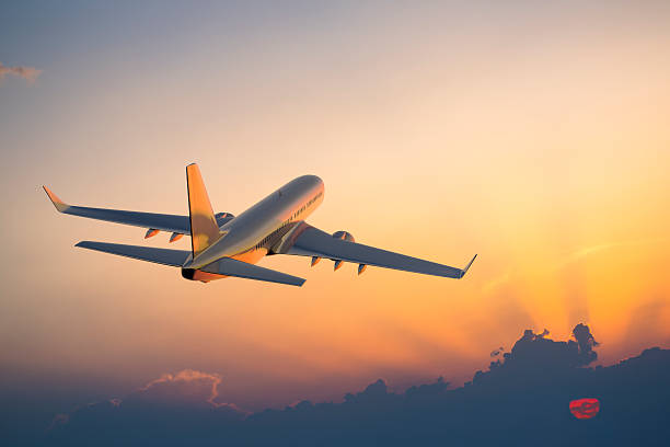 https://www.bilibili.tv/en/video/4800388804516352